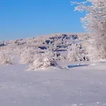 V Posumavi * Stachy
